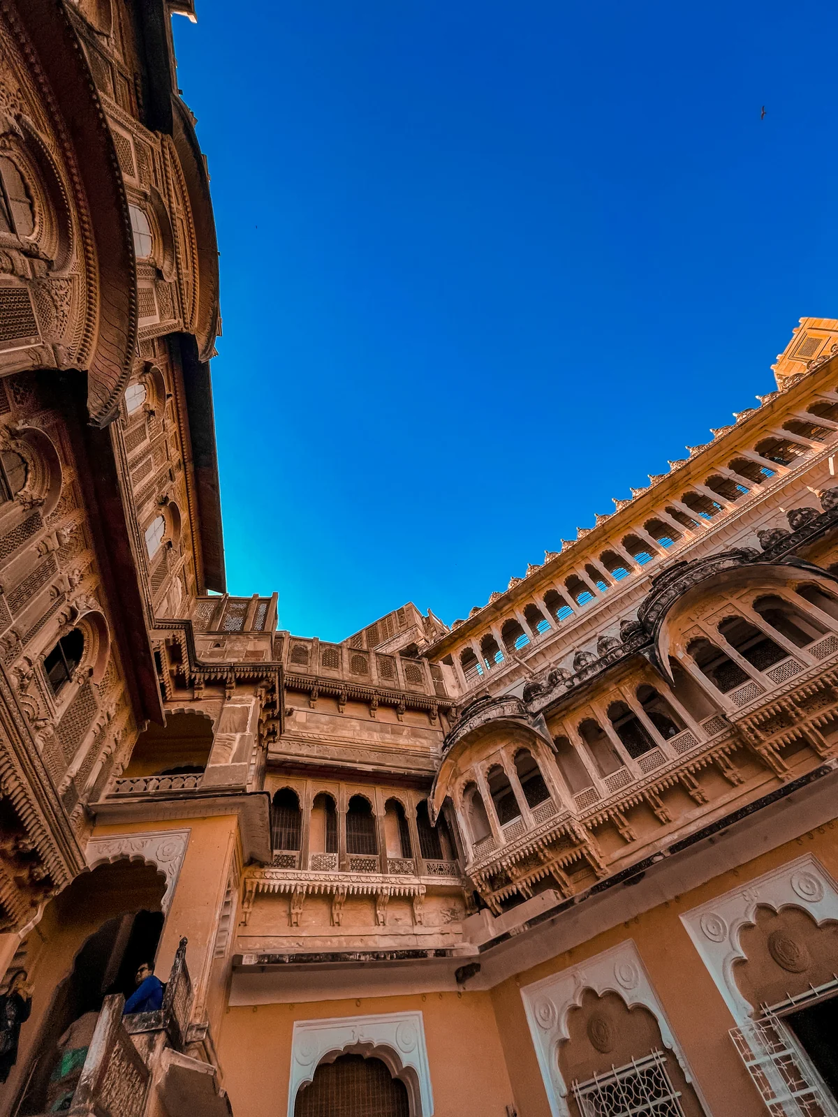 Portfolio photograph 15 by Manmeet Singh Mahal