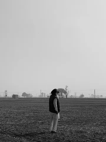 A lone figure looks across the harvested fields.