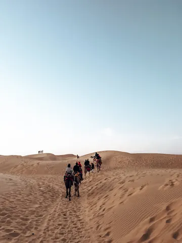 A camel caravan follows the curve of the dunes.