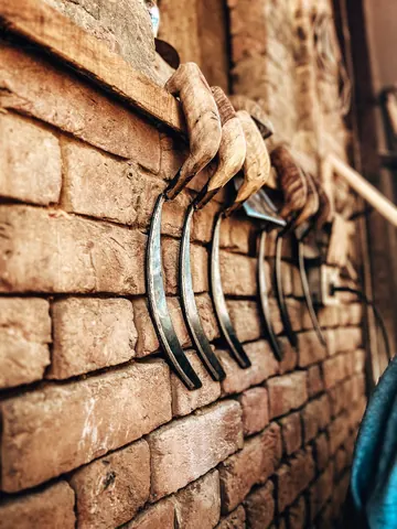 Curved tools hang in a row against old brick.