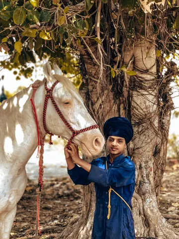 A quiet moment shared with a white horse.