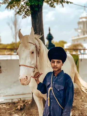 A boy and a white horse stand side by side.