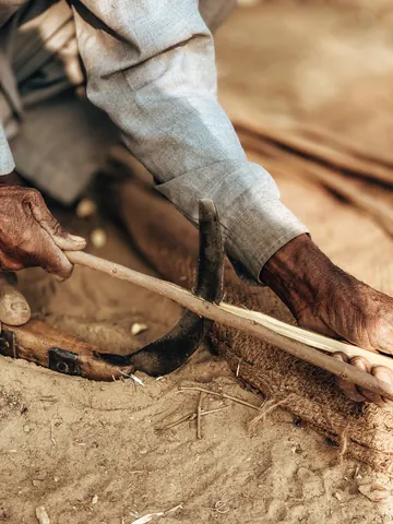 A strip of wood is shaped for the next part of a basket.