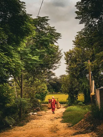 A tree-lined path opens onto green fields.